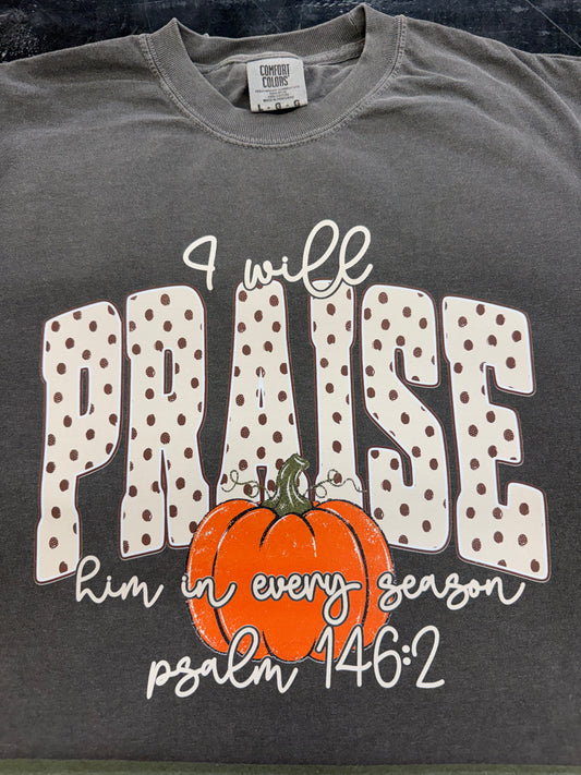 I Will Praise Him In Every Season Tee